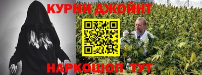 гашик Кандалакша