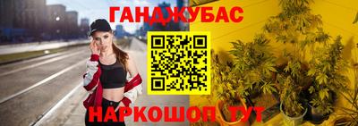 гашик Кандалакша