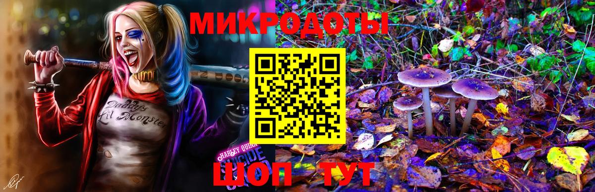 Псилоцибиновые грибы мухоморы Елизово