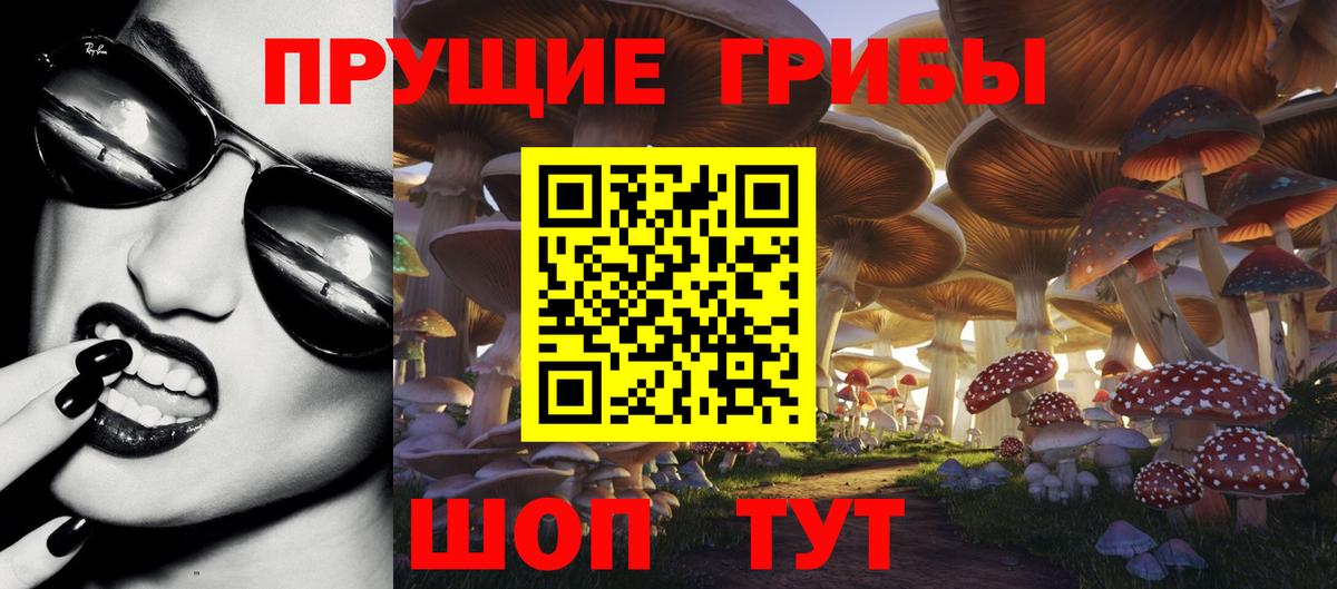 Псилоцибиновые грибы Cubensis  Вход с VPN  Елизово 